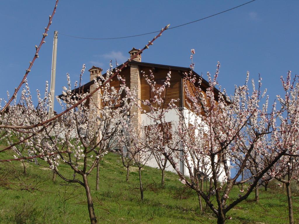 Casa Dell' Abbondanza B&B Agriturismo Vigoleno Ngoại thất bức ảnh