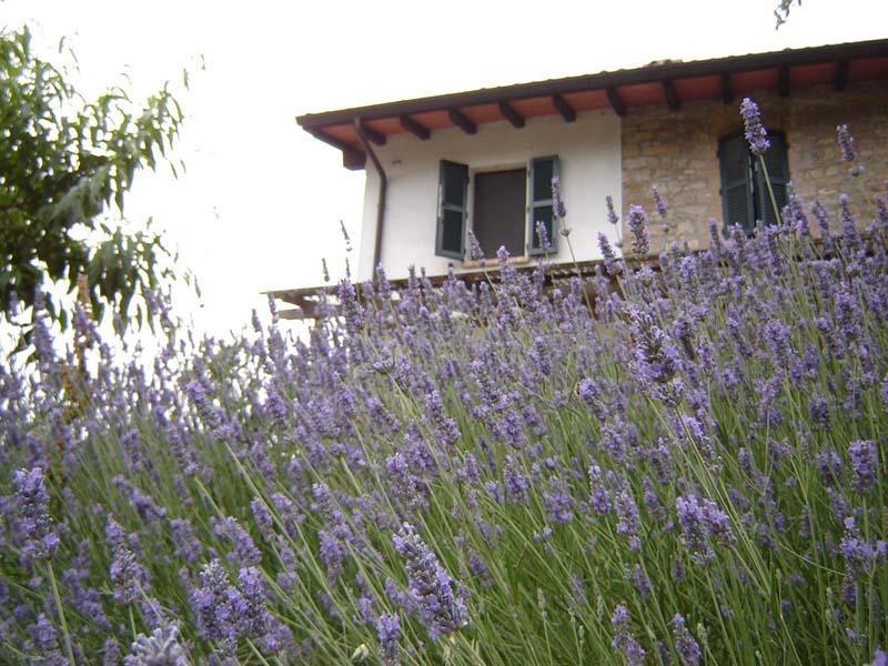 Casa Dell' Abbondanza B&B Agriturismo Vigoleno Ngoại thất bức ảnh